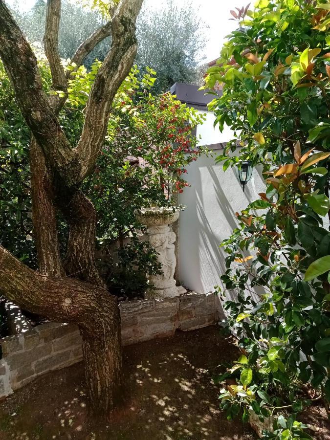B&B Il Cantuccio Desenzano del Garda Exterior photo